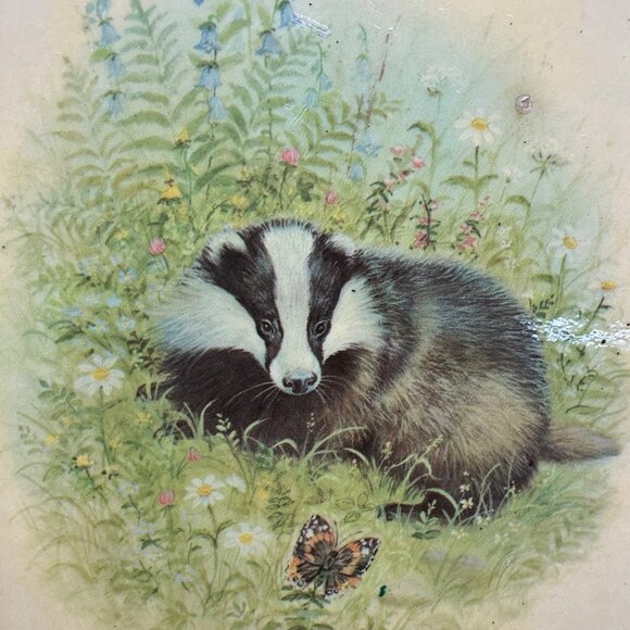 Vintage Wall Hanging Wood Plaques Animal 1970s Pictures Rabbit Squirrel Badger - Picture 4 of 10